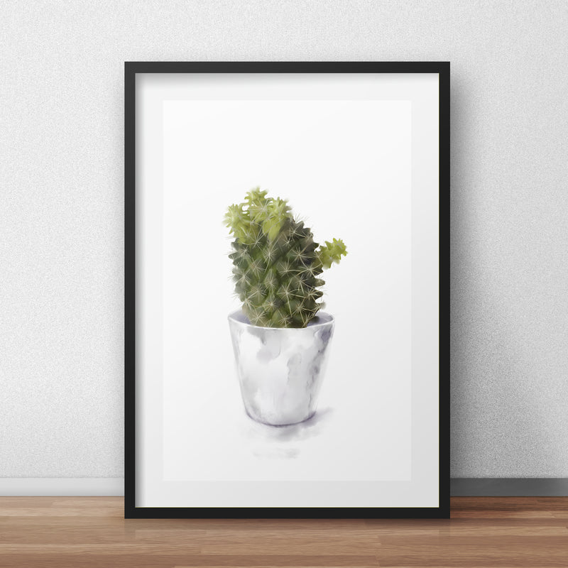 Cactus Collection