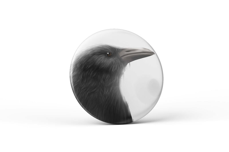 The Bird Collection
