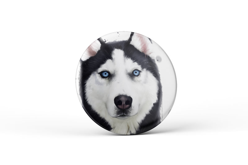 Pets Collection