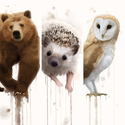 The Forest Animals 2.0 Collection