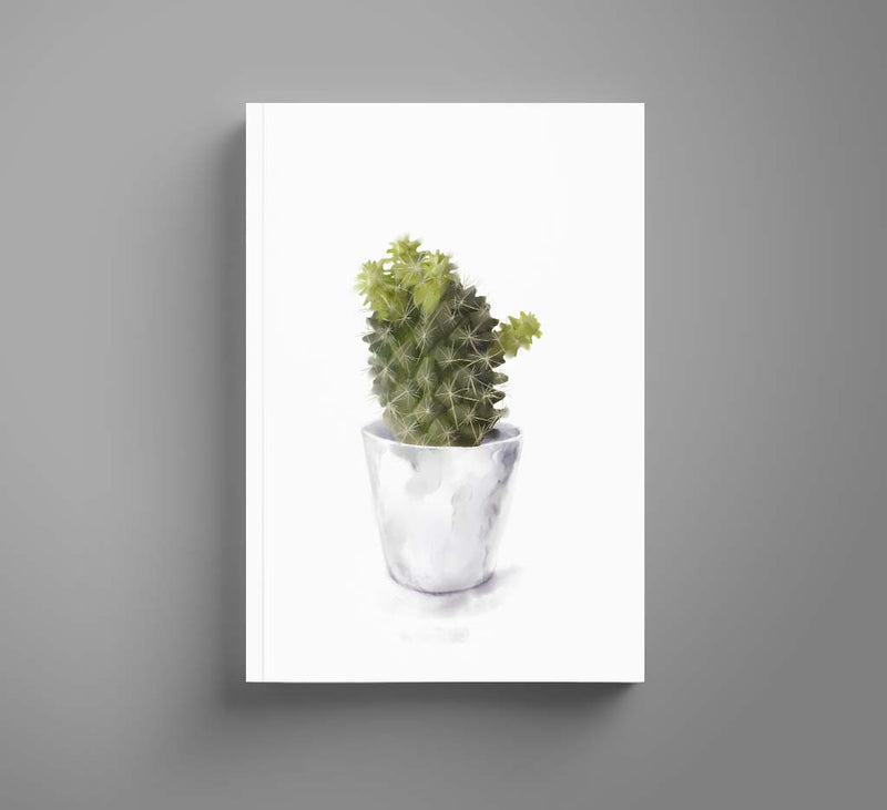 Cactus Collection